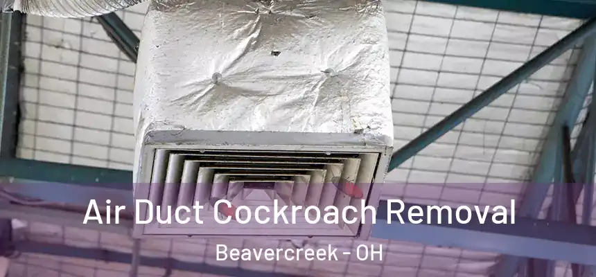 Air Duct Cockroach Removal Beavercreek - OH