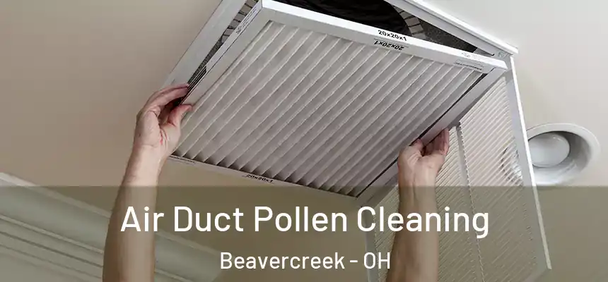 Air Duct Pollen Cleaning Beavercreek - OH