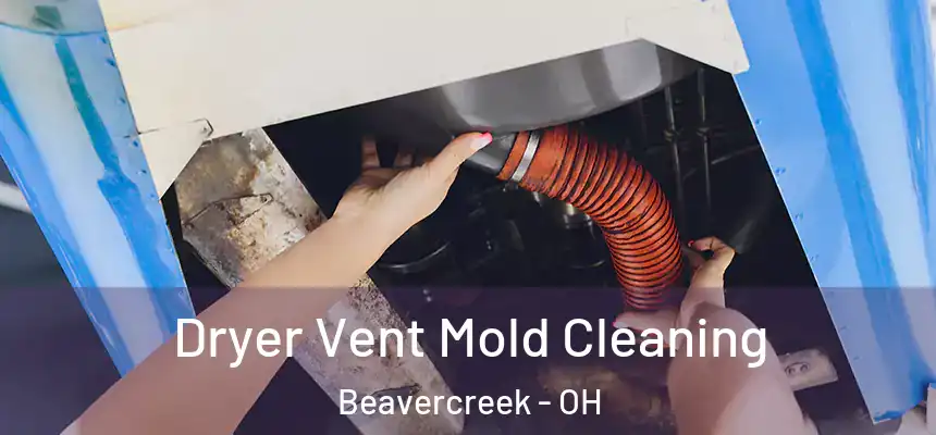 Dryer Vent Mold Cleaning Beavercreek - OH