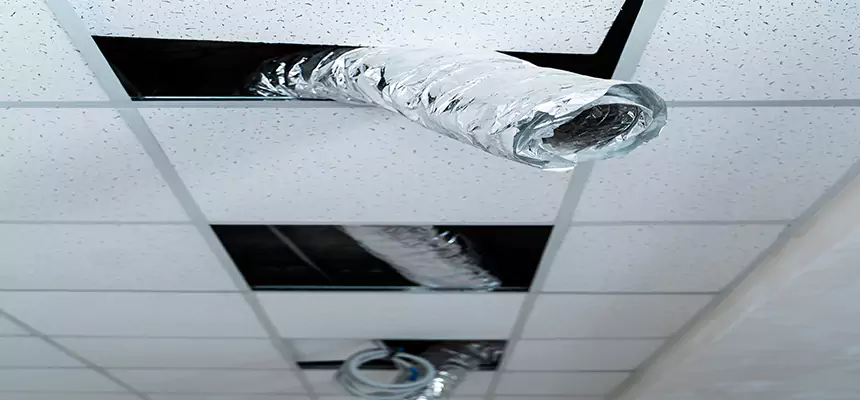 Our Air Duct Pet Hair Removal Services in Beavercreek, OH