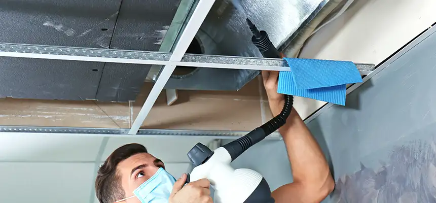 Our Air Duct Rodent Removal Services in Beavercreek, OH