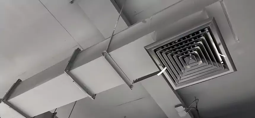 Our Rodent Droppings In Vents Services in Beavercreek, OH