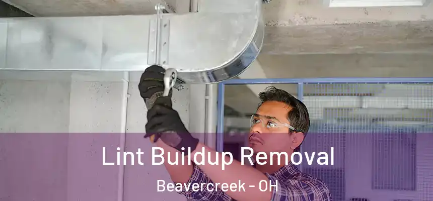 Lint Buildup Removal Beavercreek - OH