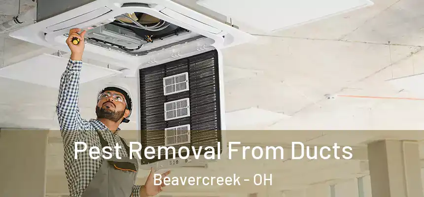 Pest Removal From Ducts Beavercreek - OH