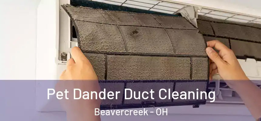 Pet Dander Duct Cleaning Beavercreek - OH
