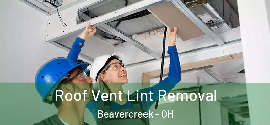 Roof Vent Lint Removal Beavercreek - OH