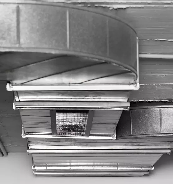 Professional Air Duct Pet Hair Removal in Beavercreek, OH