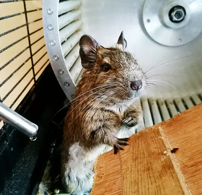 Why Homeowners & Businesses Trust Us Beavercreek, OH?